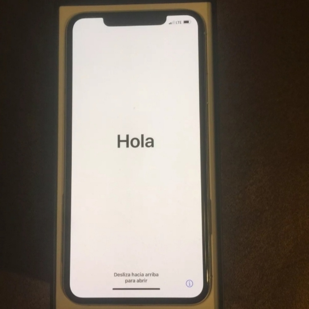 Apple iPhone Pro Max 256gb Silver Unlocked